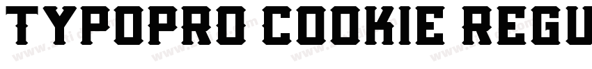 TypoPRO Cookie Regul字体转换